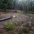 low-down-seller-financing-clear-creek-county-lot