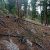 co-seller-financed-land-