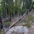 clear-creek-county-lot-for-sale-