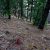 property-for-sale-in-dumont-co