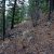 dumont-co-land-for-sale-