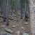 land-for-sale-
