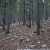 cheap-property-for-sale-in-idaho-springs-co