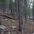cheap-clear-creek-county-lot-for-sale-