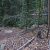 cheap-property-for-sale-in-idaho-springs-co