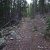 cheap-land-in-idaho-springs-co