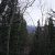 cheap-clear-creek-county-lot-for-sale-