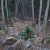 low-down-seller-financing-clear-creek-county-lot