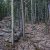 idaho-springs-co-land-for-sale