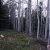 land-sale-in-clear-creek-county-
