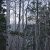 land-for-sale-