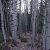 idaho-springs-co-land-for-sale-