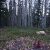 property-for-sale-in-idaho-springs-co