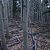 cheap-clear-creek-county-lot