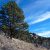 cheap-seller-financed-land-in-florissant-co