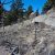 florissant-co-cheap-land-sale
