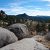 cheap-florissant-co-land