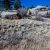 cheap-teller-county-co-land