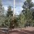 cheap-for-sale-land-in-cripple-creek-co