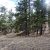 cheap-seller-financed-land-in-cripple-creek-co