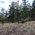 cripple-creek-co-land-deals-