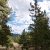 cripple-creek-co-land-for-sale-