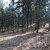 cheap-teller-county-co-land