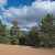 for-sale-land-in-cripple-creek-co