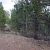 seller-financed-land-in-cripple-creek-co