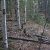 cheap-for-sale-land-in-cripple-creek-co