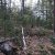 cheap-seller-financed-land-in-cripple-creek-co