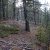cripple-creek-co-cheap-land-sale