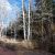 cheap-teller-county-co-land