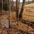 cripple-creek-co-land-for-sale-