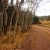 cripple-creek-co-land-deals-