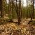 seller-financed-land-in-cripple-creek-co