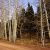 land-for-sale-by-owner-