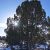 san-juan-county-seller-financed-land-