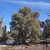 san-juan-county-land-for-sale