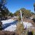 land-for-sale