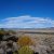 land-for-sale-by-owner-