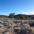 costilla-county-co-land-for-sale
