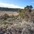 cheap-land-in-costilla-county-