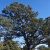 cheap-costilla-county-lot-for-sale-