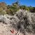 san-luis-co-seller-financed-land-