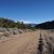 san-luis-co-land-for-sale-