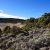 costilla-county-seller-financed-land-
