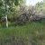 teller-county-seller-financed-land-