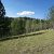 cheap-land-in-florissant-co-