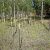 seller-financed-land-in-teller-county-co